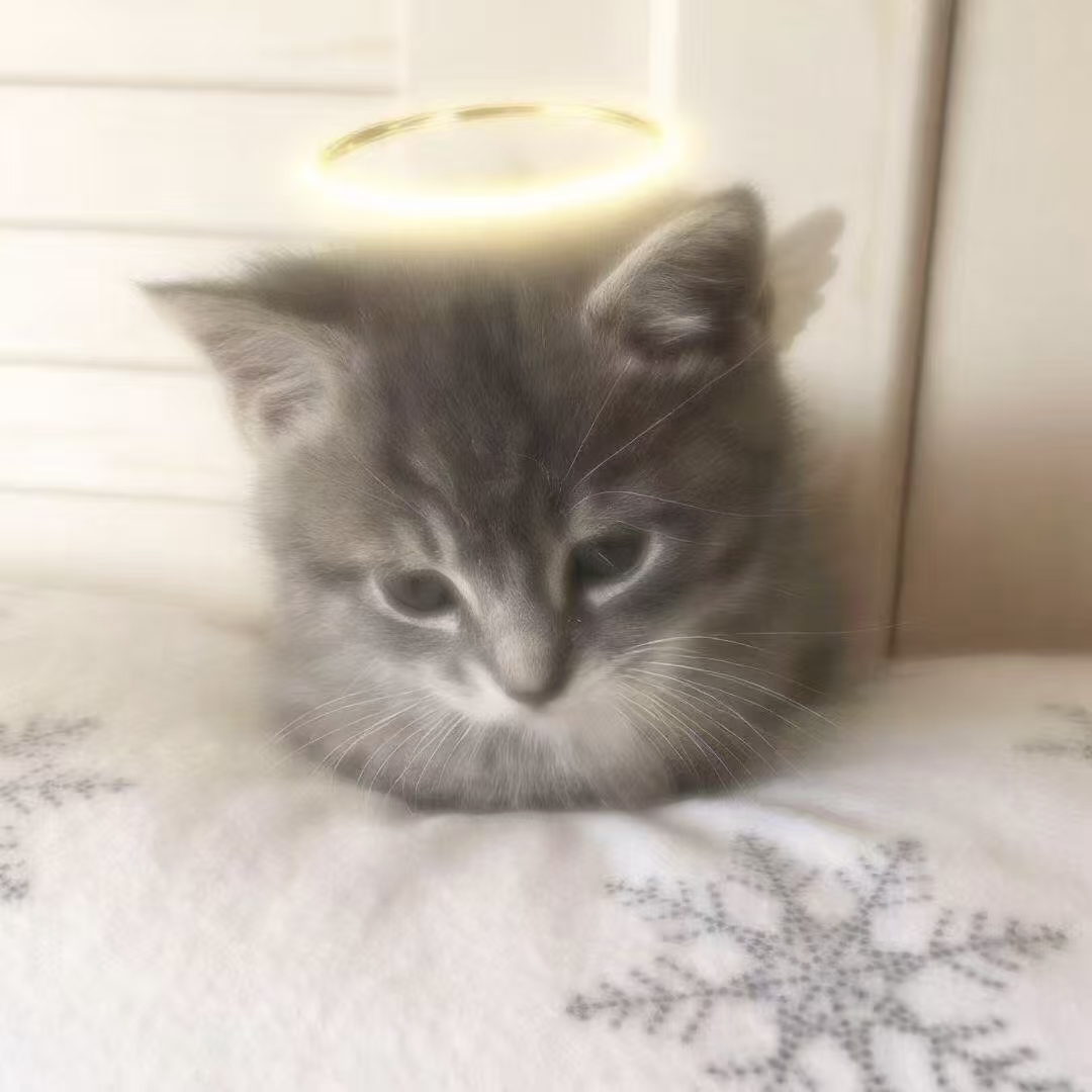MiuCat